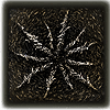 blight
