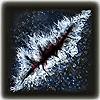 frost